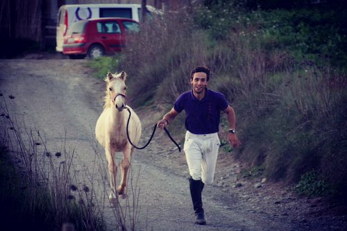 doma-natural-caballo